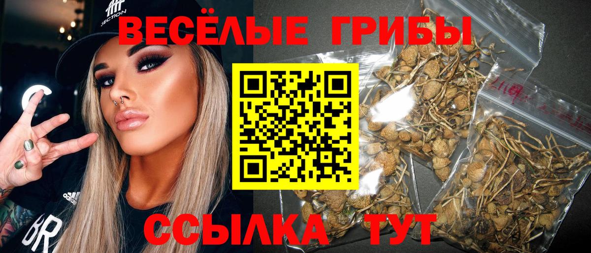 Печора  Псилоцибиновые грибы Magic Shrooms  Галлюциногенные грибы Psilocybine cubensis  Вход с VPN 